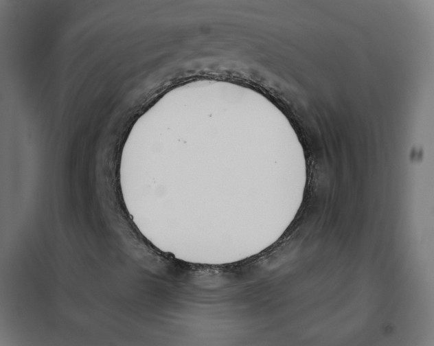 X0000101181489200807250927