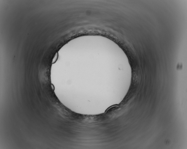 X0000101181490200807250927