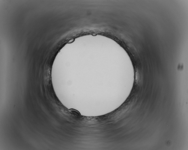 X0000101181492200807250928