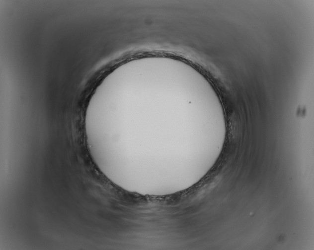 X0000101181494200807250928