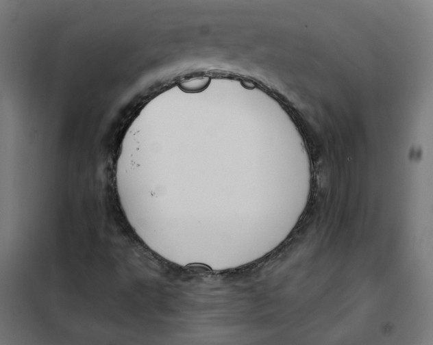 X0000101181495200807250928