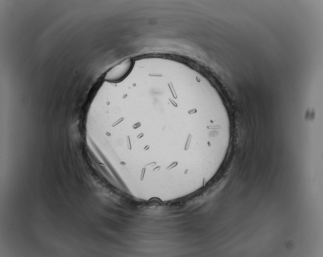 X0000101181497200807250928