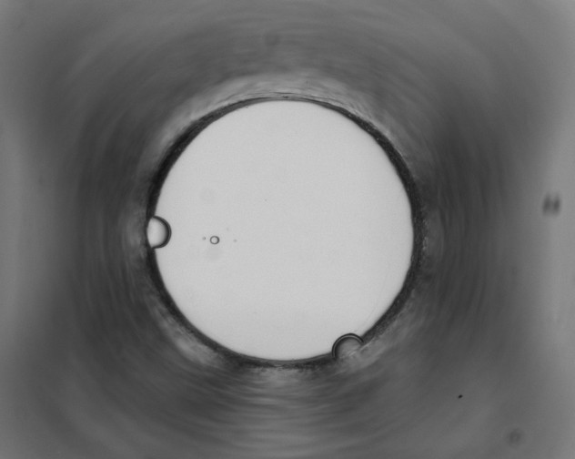 X0000101181499200807250928