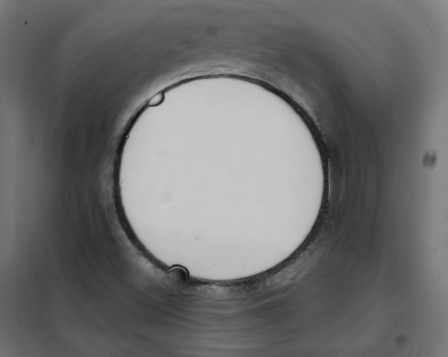 X0000101181500200807250928