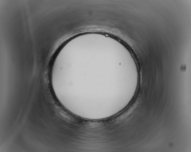 X0000101181501200807250928