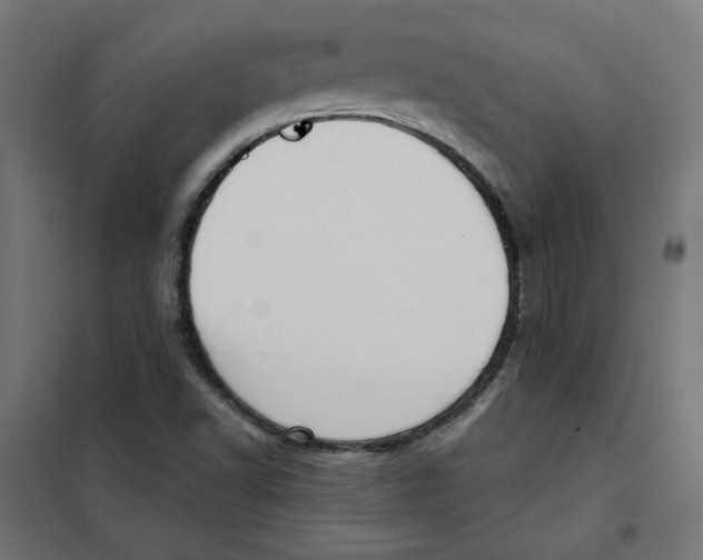 X0000101181502200807250928