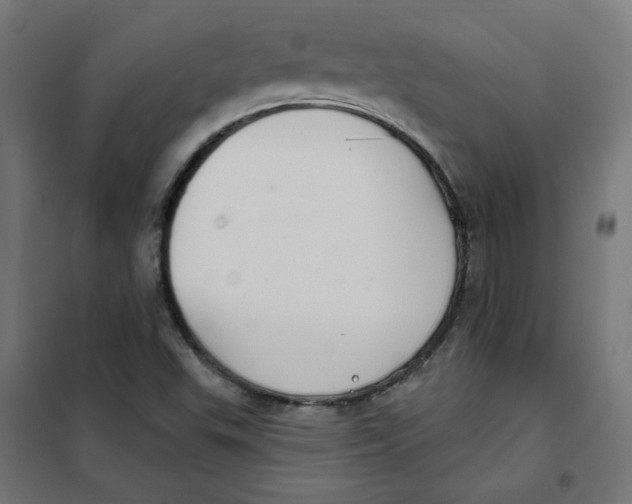 X0000101181503200807250928