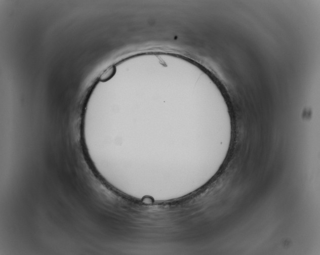 X0000101181504200807250928