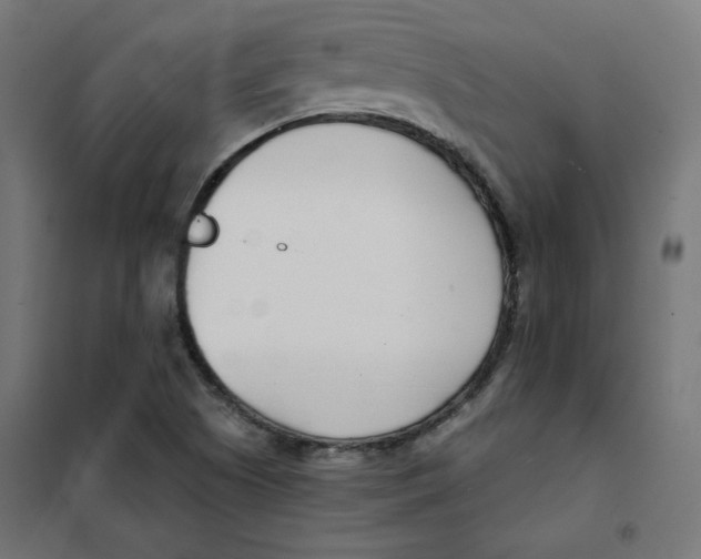 X0000101181505200807250928