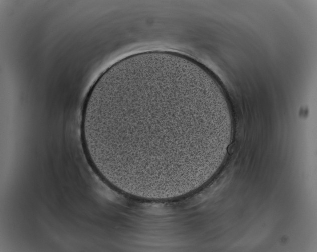 X0000101181508200807250928