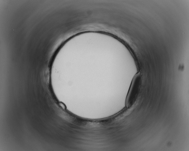 X0000101181509200807250928