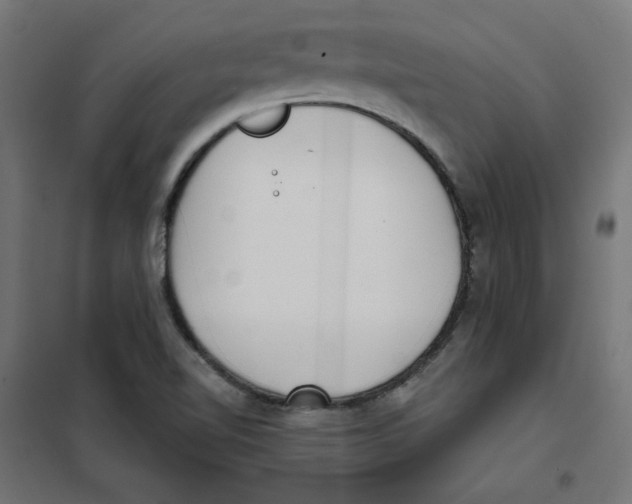 X0000101181510200807250928