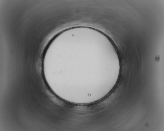 X0000101181511200807250928