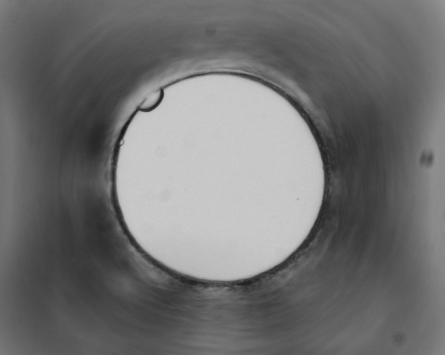 X0000101181512200807250928