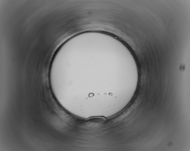 X0000101181513200807250928