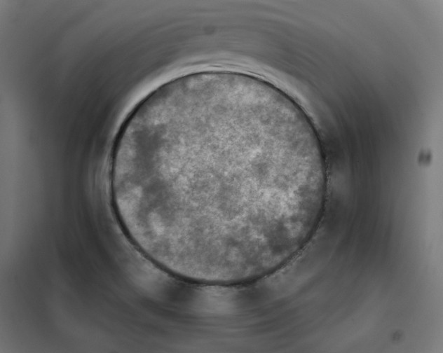 X0000101181514200807250928