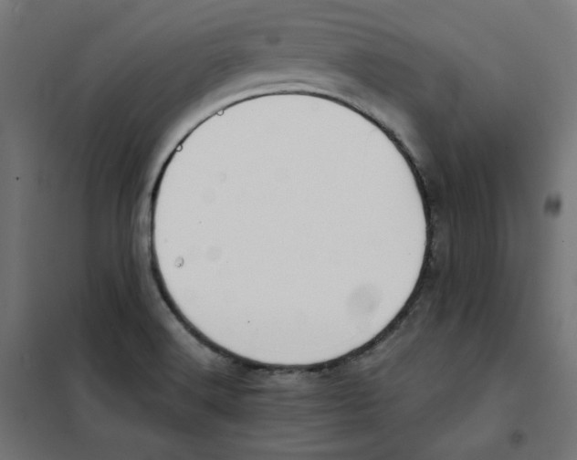 X0000101181516200807250928