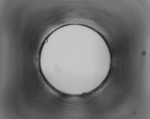 X0000101181517200807250928