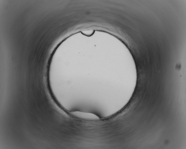 X0000101181518200807250928