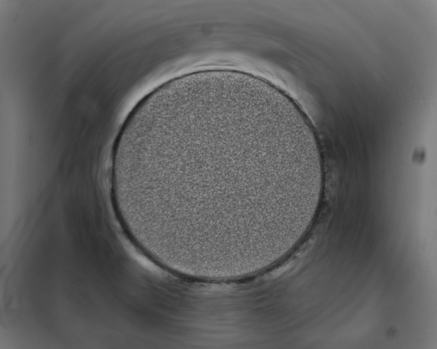 X0000101181519200807250928