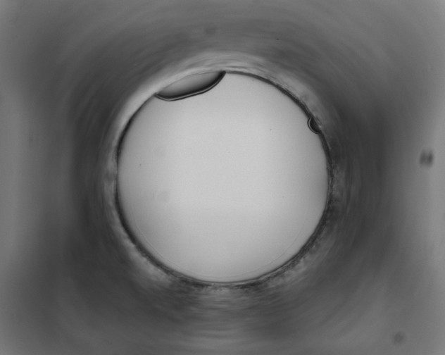 X0000101181520200807250928