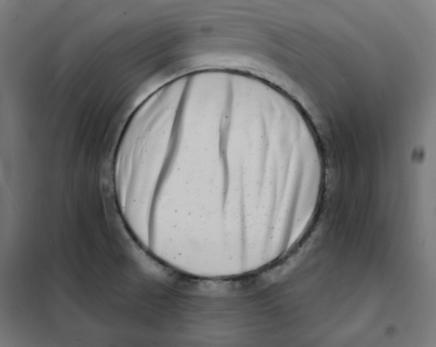 X0000101181521200807250928