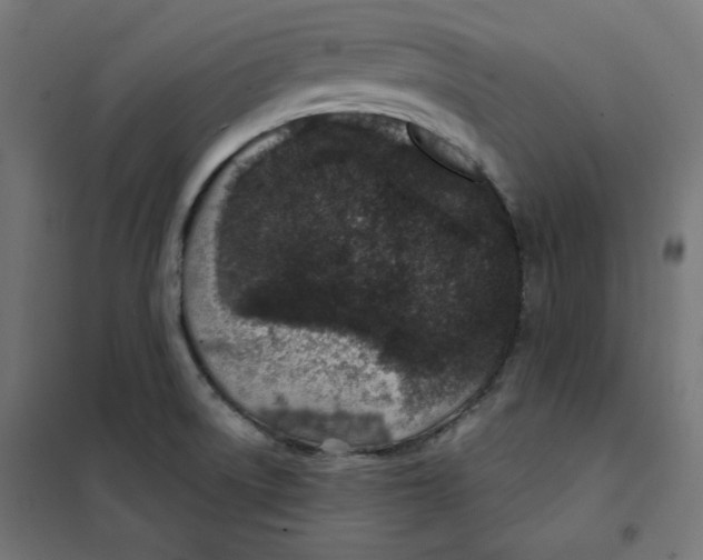 X0000101181522200807250928