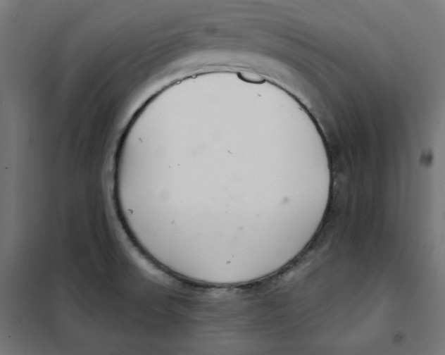 X0000101181523200807250928