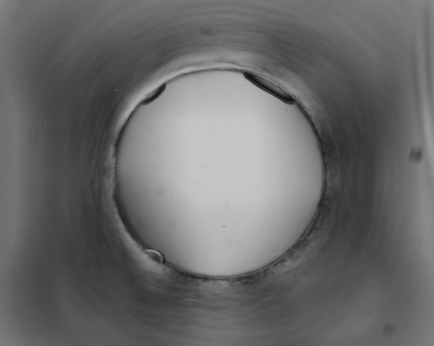 X0000101181524200807250928