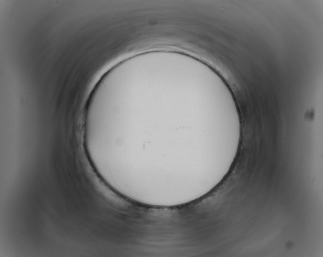 X0000101181526200807250928