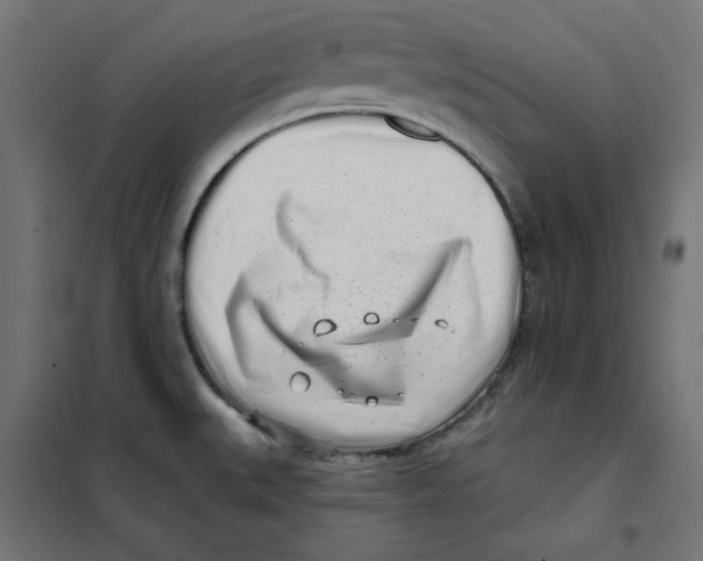 X0000101181527200807250928