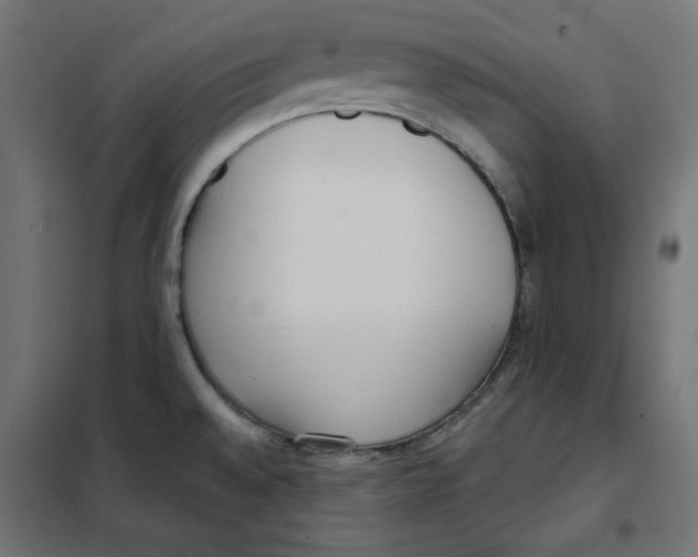 X0000101181528200807250928