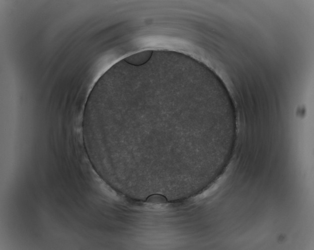 X0000101181529200807250928