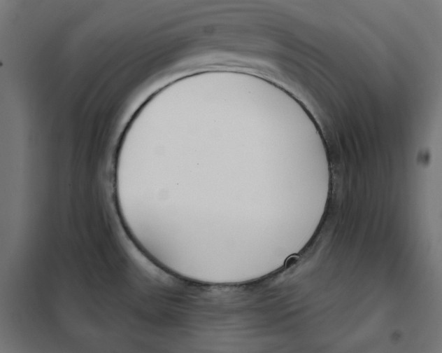 X0000101181531200807250928