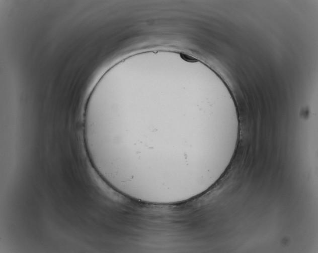 X0000101181532200807250928