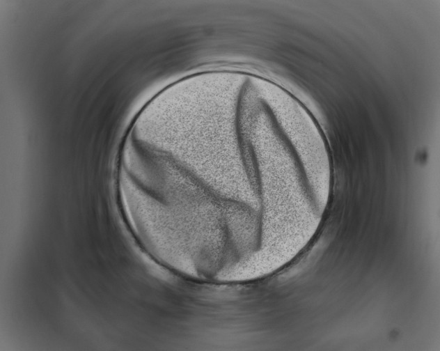 X0000101181533200807250928