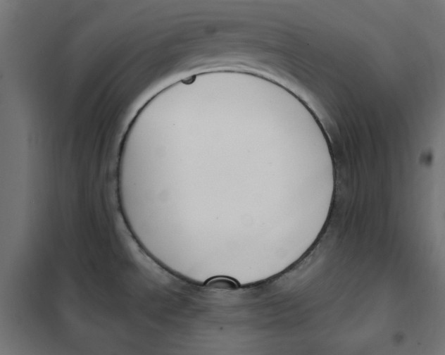 X0000101181534200807250928