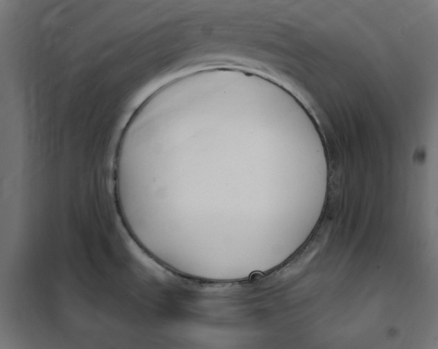 X0000101181535200807250928