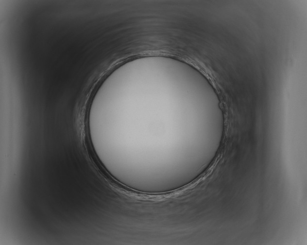 X0000101190002200806270857