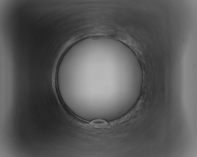 X0000101190003200806270857