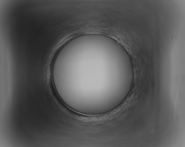 X0000101190005200806270857