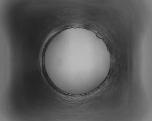 X0000101190006200806270857