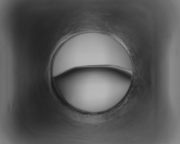 X0000101190008200806270857