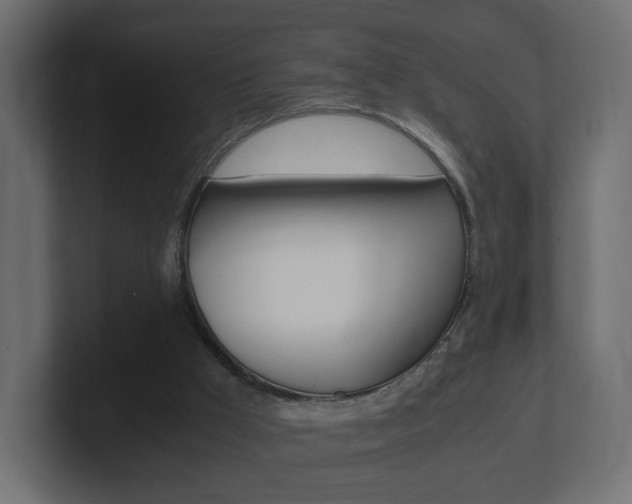 X0000101190009200806270857