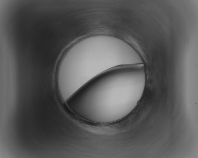 X0000101190012200806270856