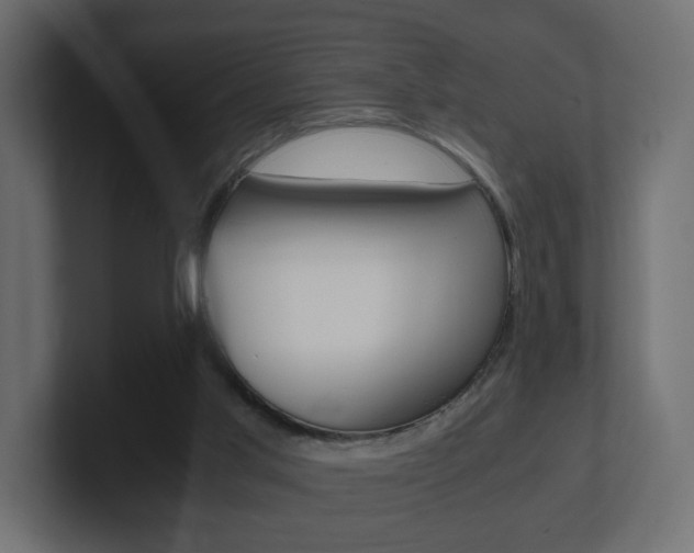 X0000101190013200806270856