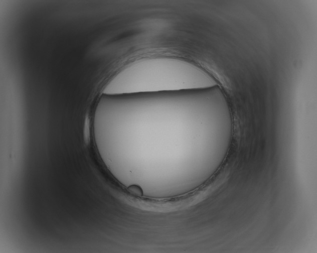X0000101190014200806270856