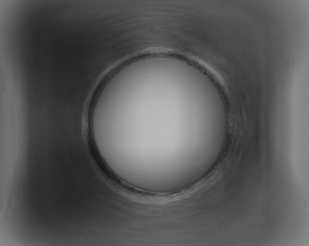 X0000101190015200806270856