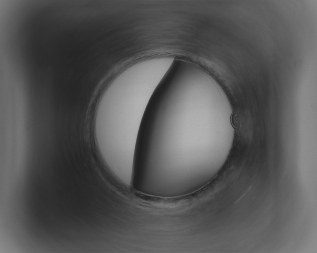 X0000101190016200806270856