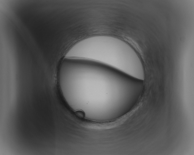 X0000101190017200806270856